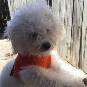 Meet your Posher, Angela