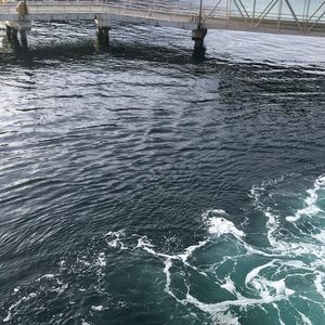 Meet your Posher, Solveig