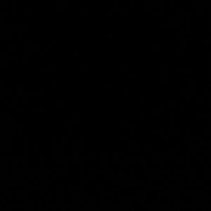 Meet your Posher, Amaris