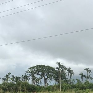 Meet your Posher, Yaima