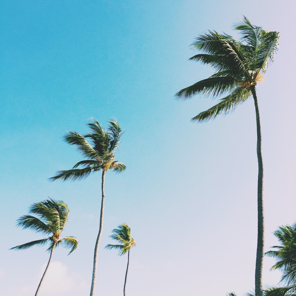 Meet your Posher, Jenn