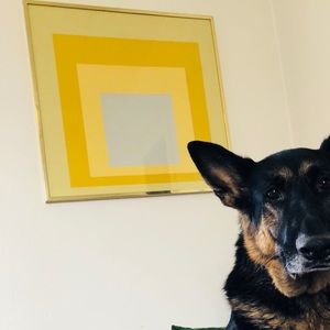 Meet your Posher, Lily