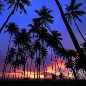 Meet your Posher, Lexi