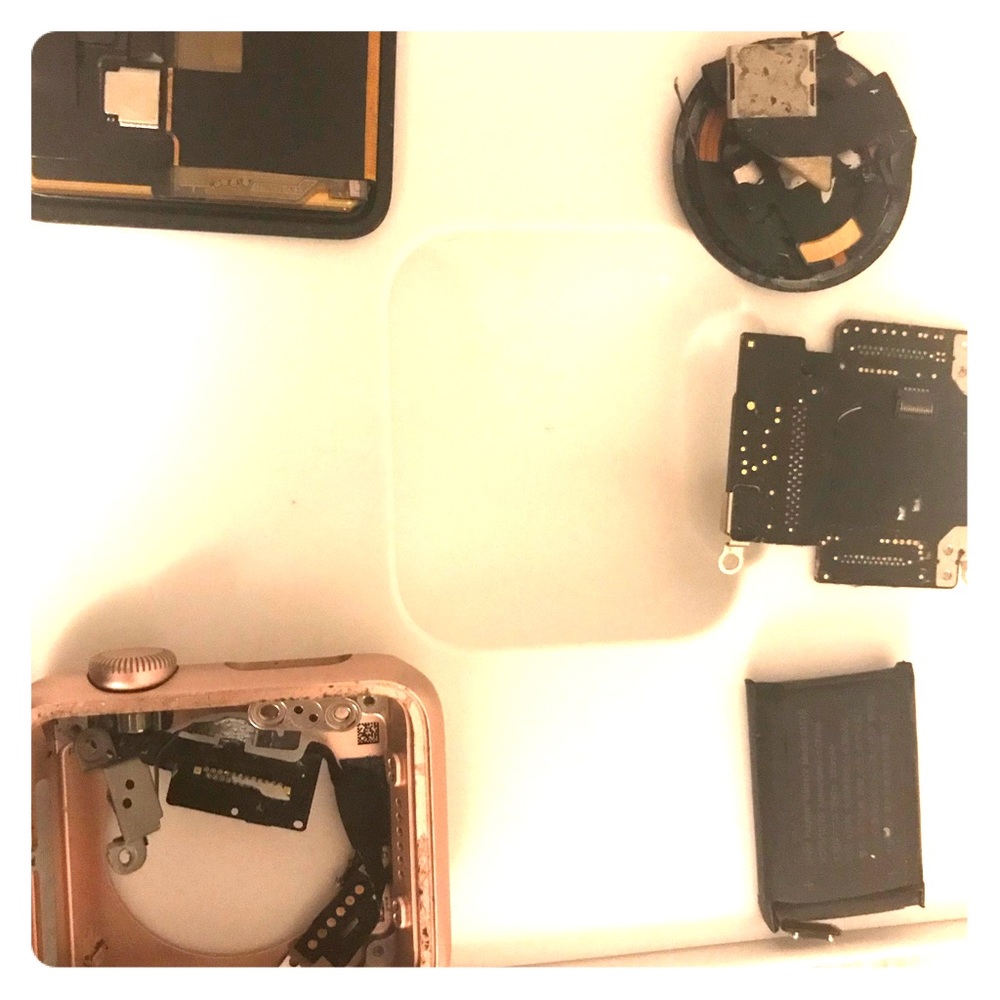 Apple Watch Parts