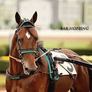 Meet your Posher, Mayra