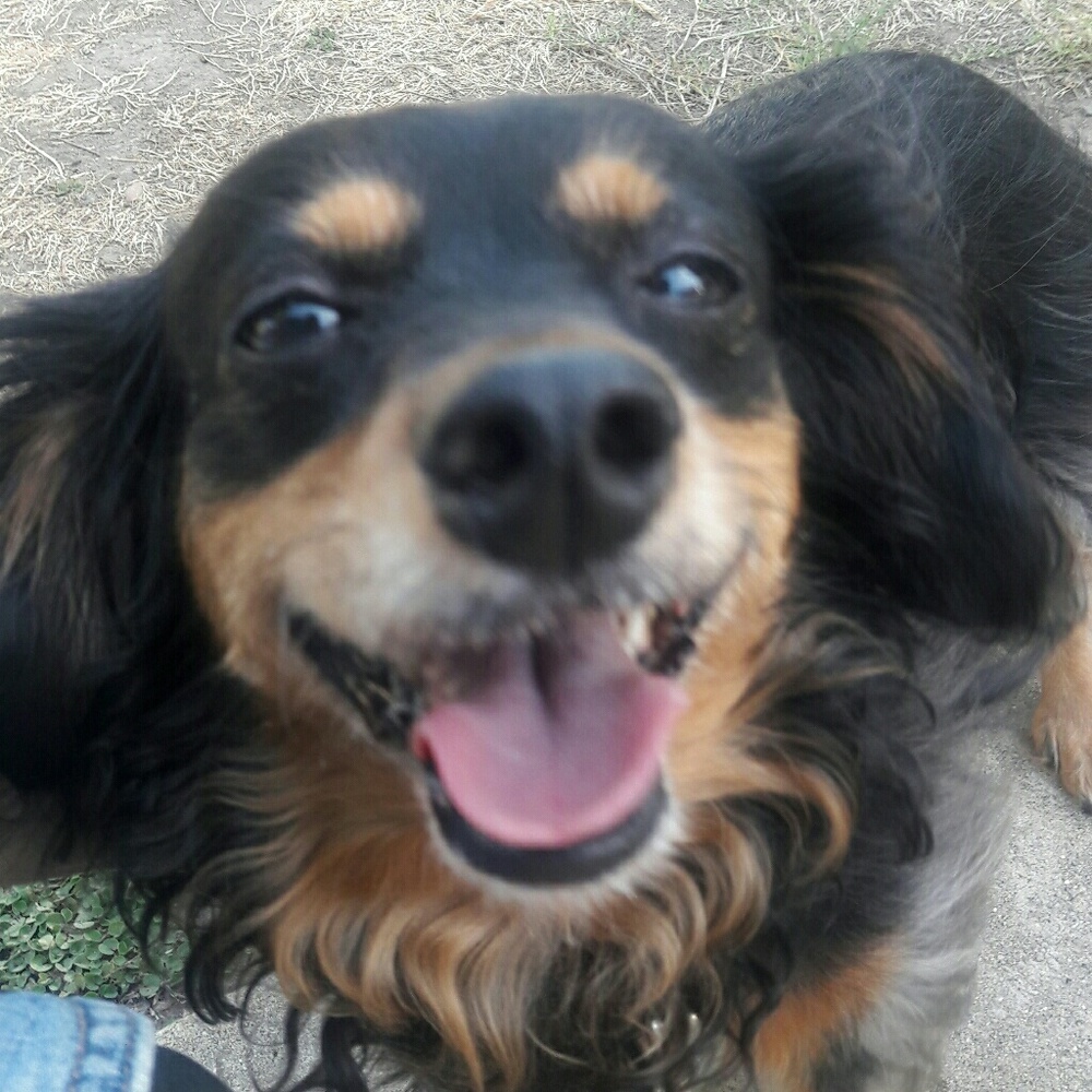 Sharing is Caring!!!