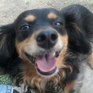 Sharing is Caring!!!