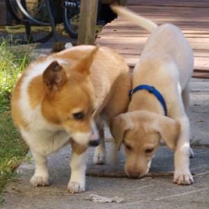 Meet your Posher, Estela