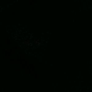 Meet your Posher, Adriana