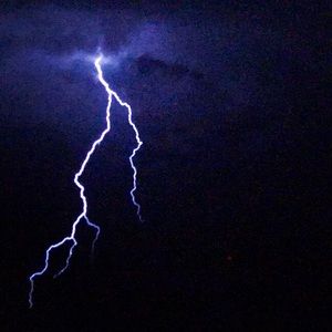 Meet your Posher, Payton