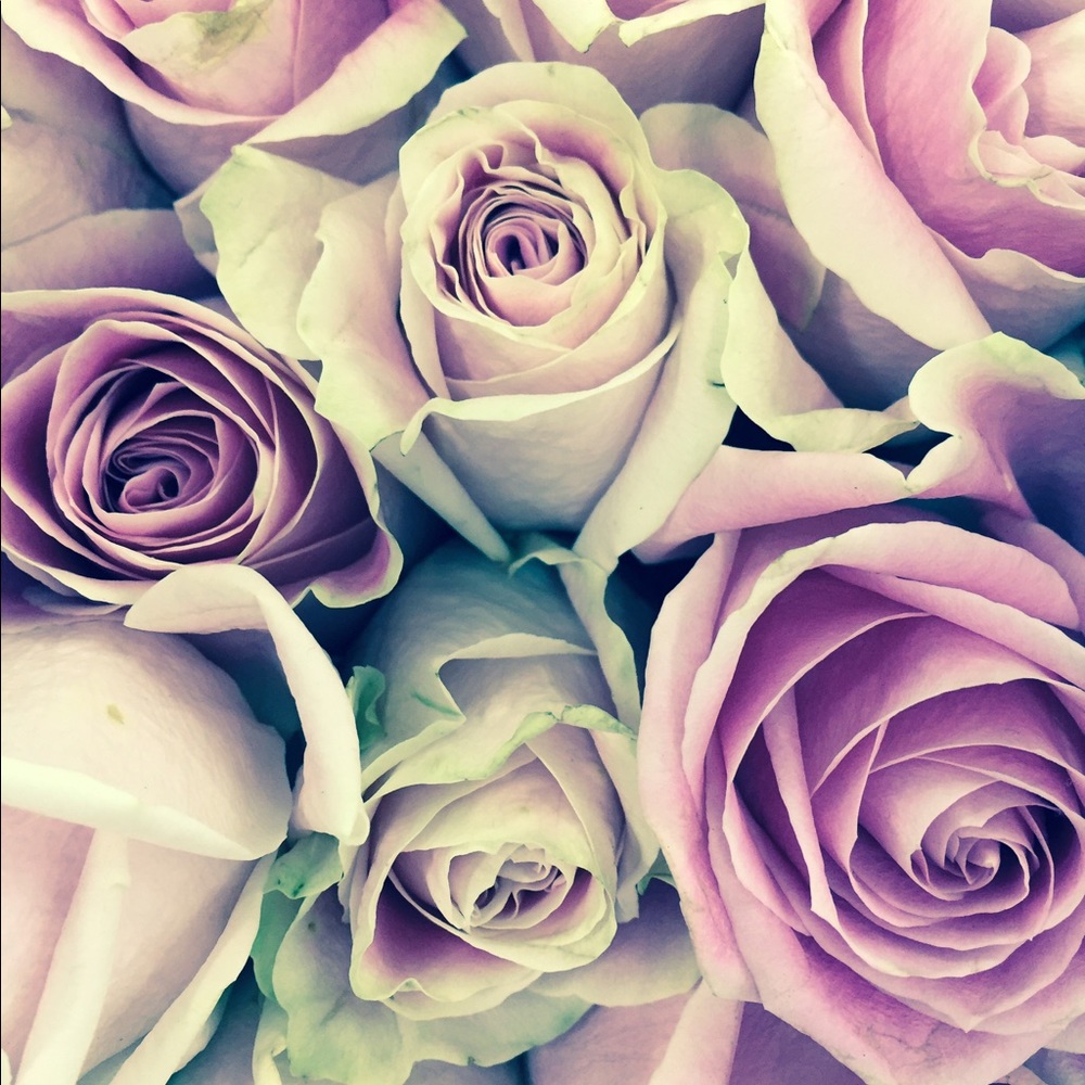 Meet your Posher, Annanelle