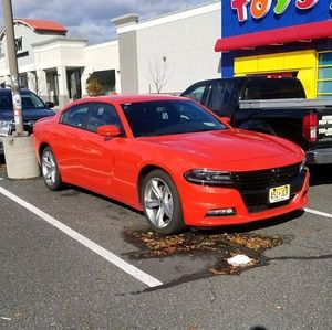 Meet your Posher, Shane