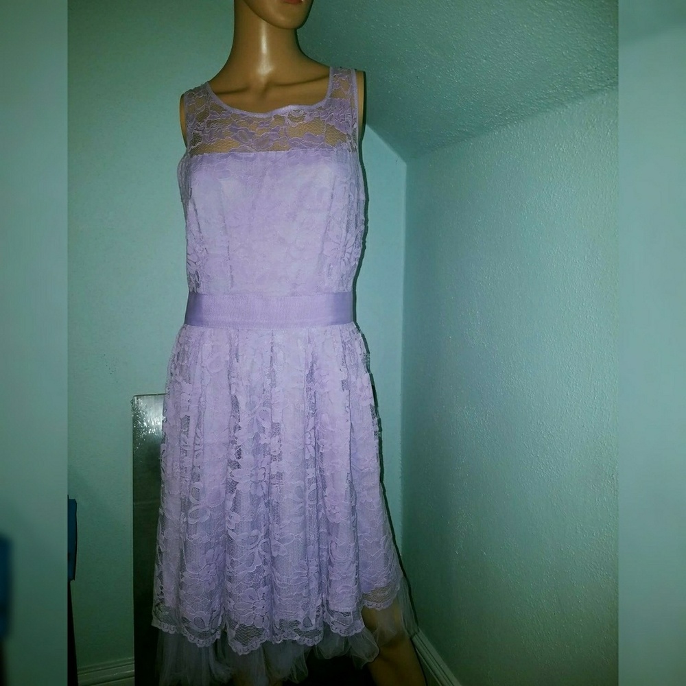 BB Dakota purple lace plus size dress modcloth  16