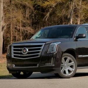 Meet your Posher, Dylan