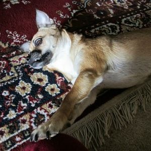 Meet your Posher, Catherine