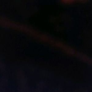 Meet your Posher, Lily