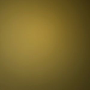 Meet your Posher, Anne