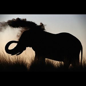 Meet your Posher, Janette