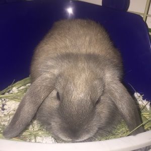 Meet your Posher, Gloria