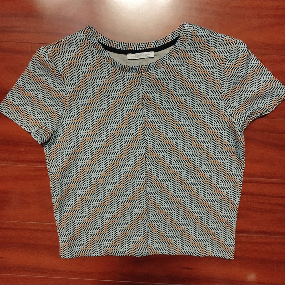 Zara crop top