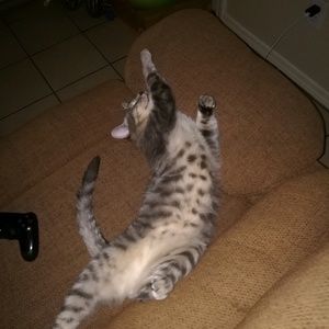 Meet your Posher, Justin