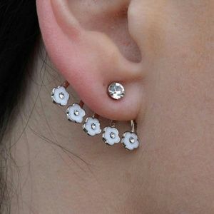 Stainless Steel Crystal Earrings