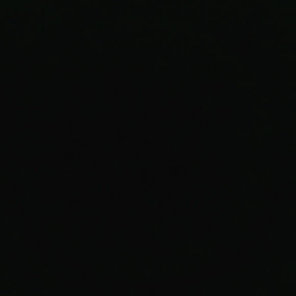 Meet your Posher, Jeje - Picture 1 of 1