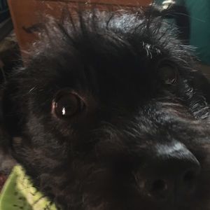 Meet your Posher, Melonie