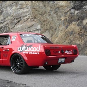 Meet your Posher, Leo