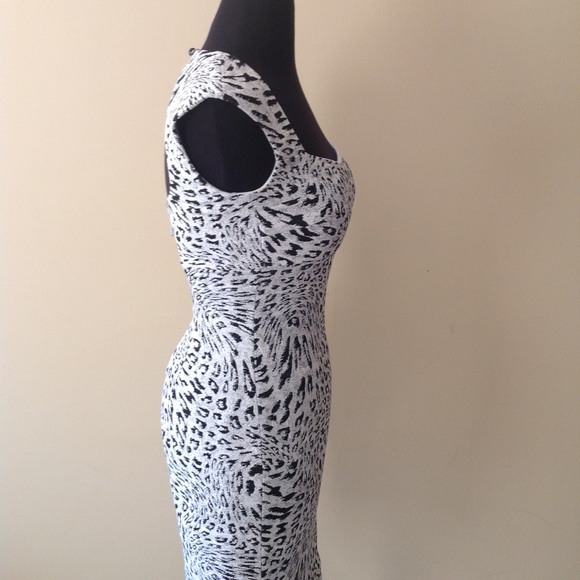 Cache - Picture 2 of 7