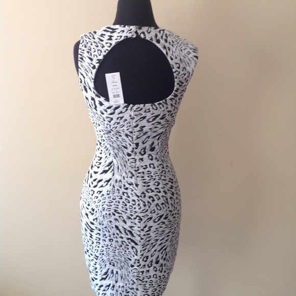 Cache - Picture 4 of 7