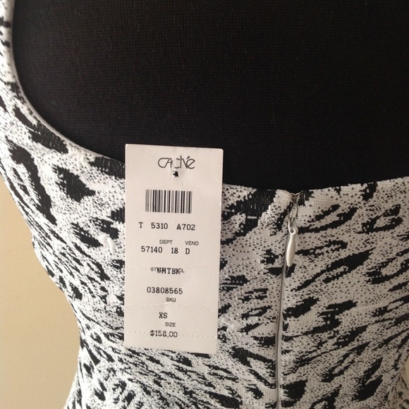 Cache - Picture 5 of 7