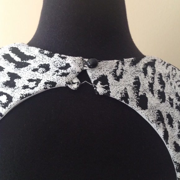 Cache - Picture 7 of 7