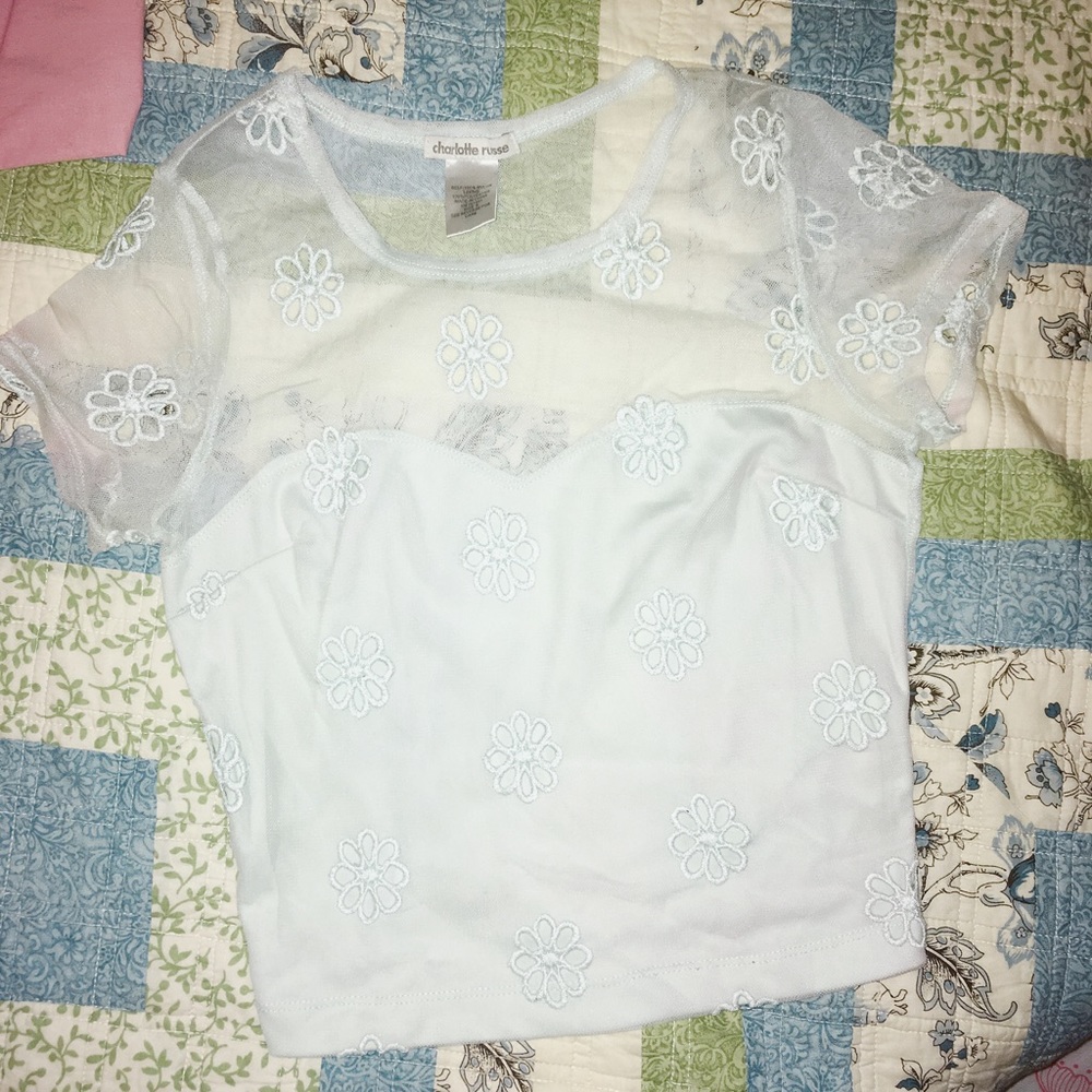 Charlotte Russe See through/ mesh croptop