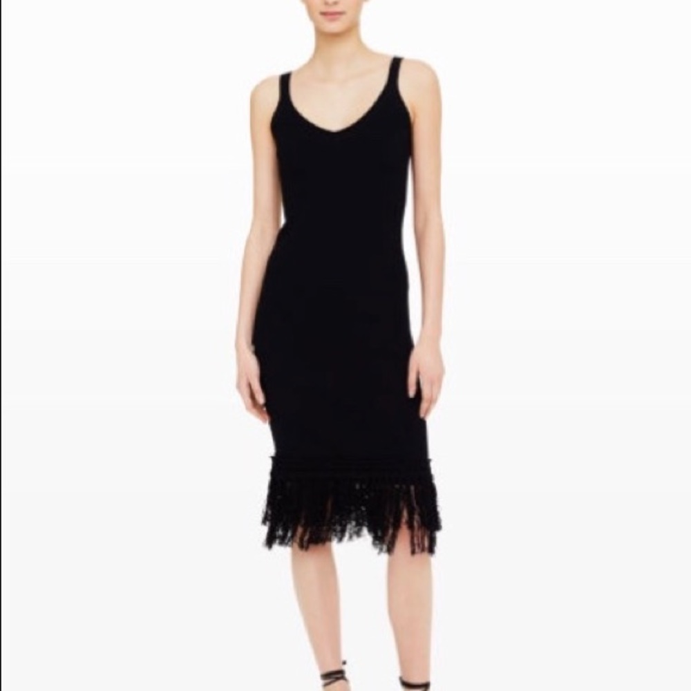 Club Monaco Simonettah sweater fringe dress