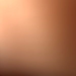 Meet your Posher, Chastity