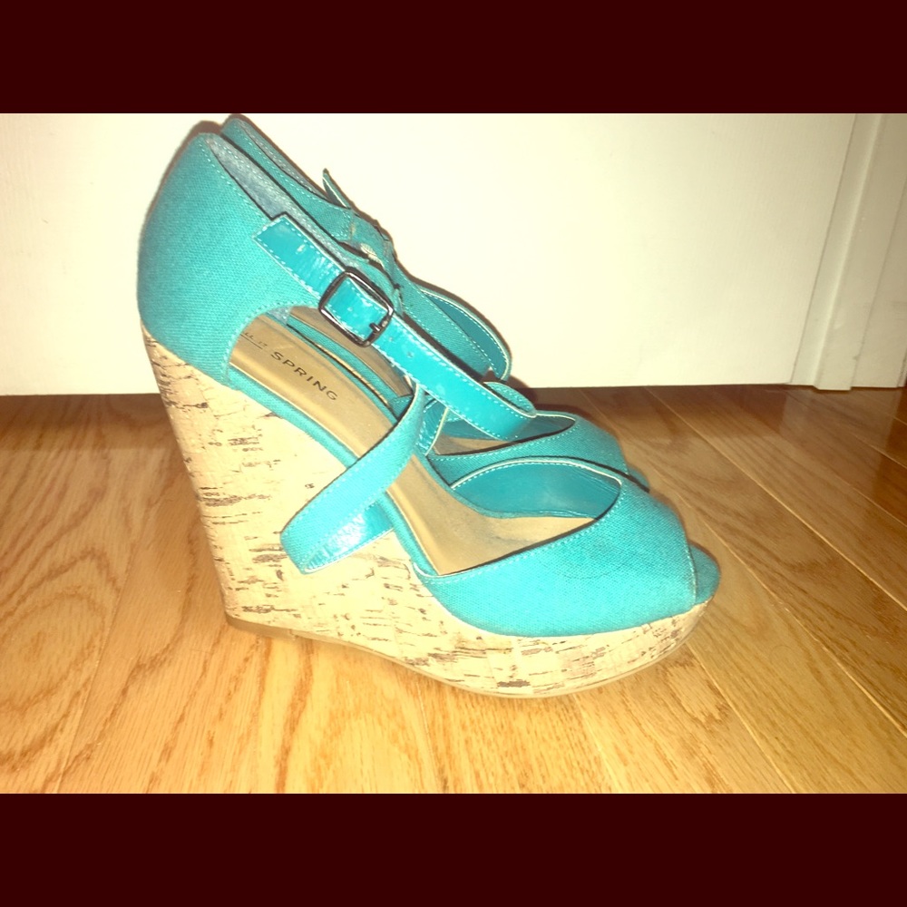 Size 8.5 wedges