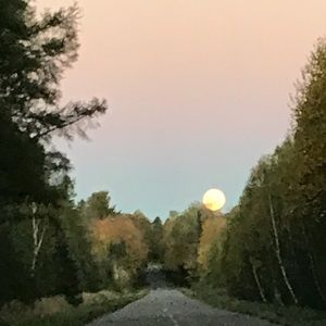 Meet your Posher, Seth