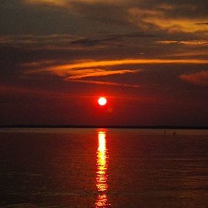 Meet your Posher, Danial