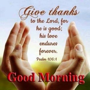 Meet your Posher, Marie