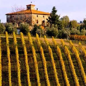 Meet your Posher, Valerie