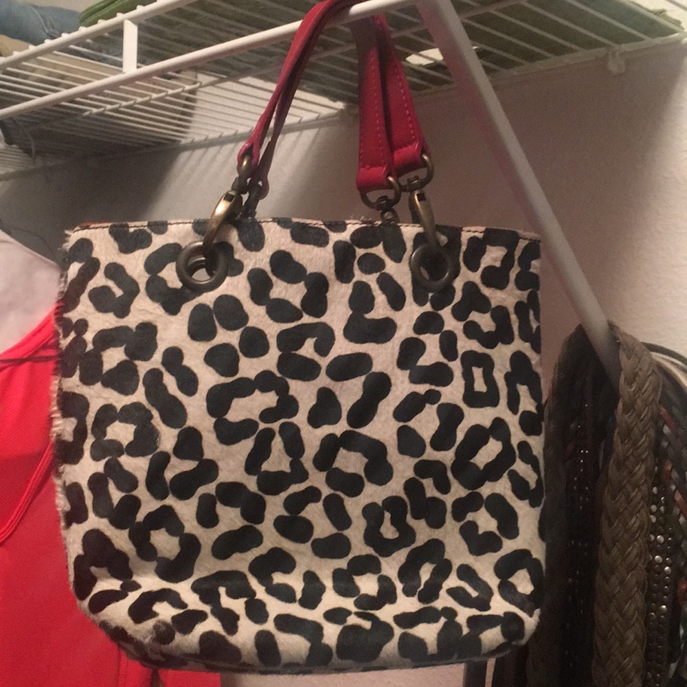 Maurizio Taiuti purse