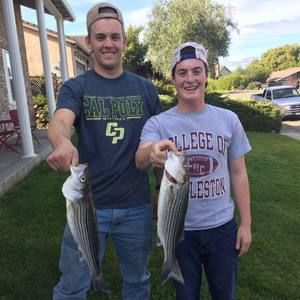 Meet your Posher, Collin