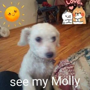 Meet your Posher, Tameka