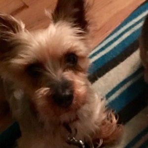 Meet your Posher, Ashlee