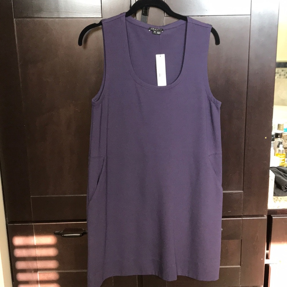 NWT Theory Shift Dress