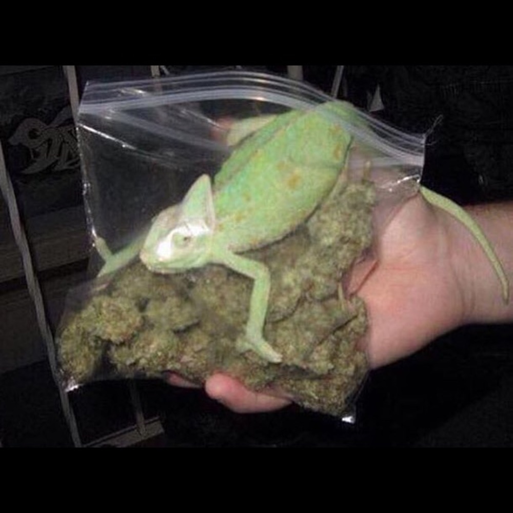 Meet your Posher, Keith