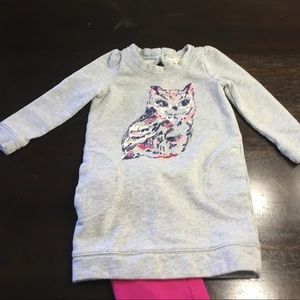 EUC Gymboree Owl Sweatshirt and pink leggings