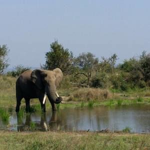 Meet your Posher, Carly