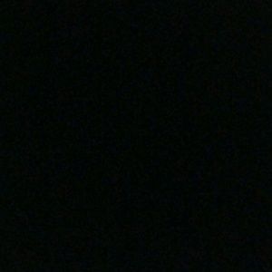 Meet your Posher, Eva